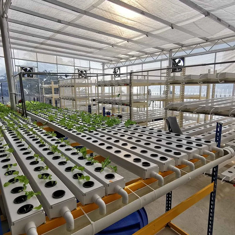 Aquaponics Vegetable Growing System Hydroponics PVC Nft Channel Micro Greens Growing Gutter Greenhouse System