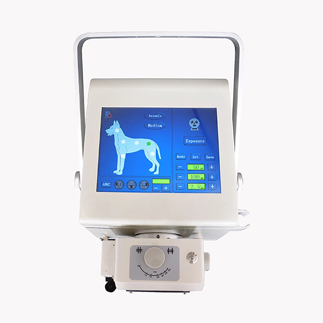 Hospital Veterinary X Ray Machine Equipment