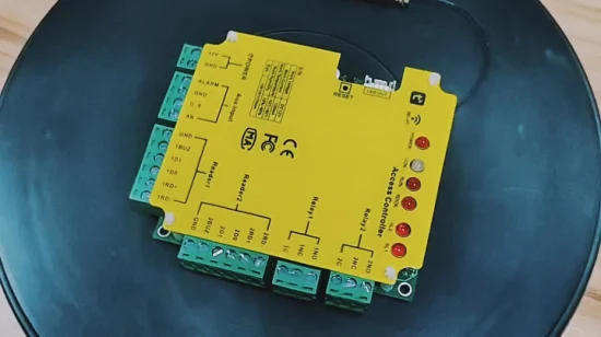 Tuya APP Fernbedienung WiFi Pannello di controllo accessi intelligente Tür Scheda di controllo accessi Sistema di controllo accessi di sicurezza