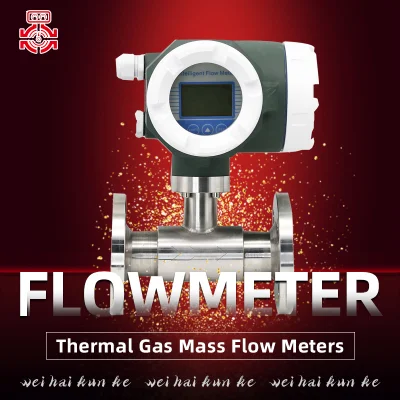 Misuratore di portata di metano a gas caldo plug-in integrato, display digitale inglese, strumento di rilevamento gas misto CH4