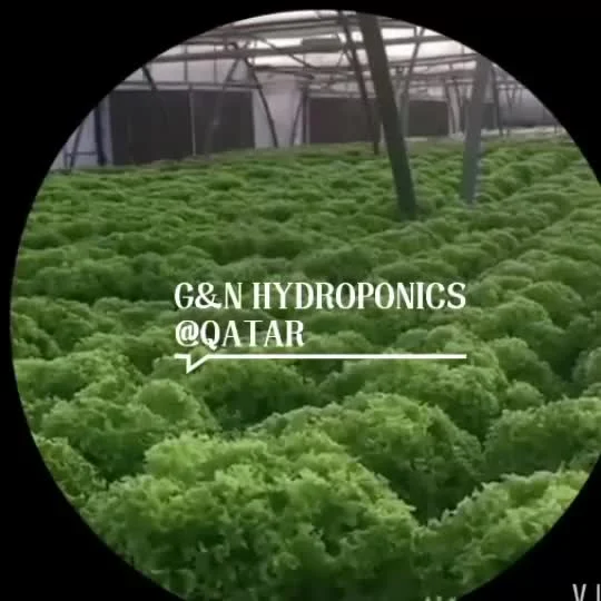 Sistema di coltivazione di canali in PVC Hydroponics Garden Nft Attrezzatura idroponica per verdure a foglia di insalata