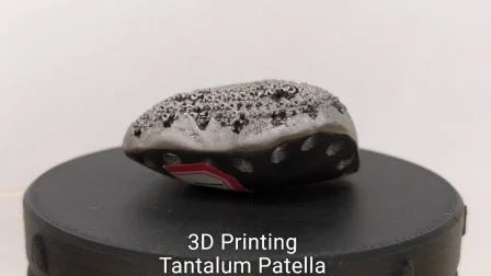 Polvere metallica di tantalio per stampa 3D sferica per la medicina